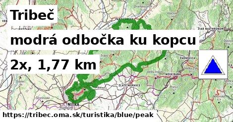 Tribeč Turistické trasy modrá odbočka ku kopcu