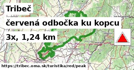 Tribeč Turistické trasy červená odbočka ku kopcu