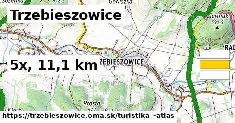 Trzebieszowice Turistické trasy  