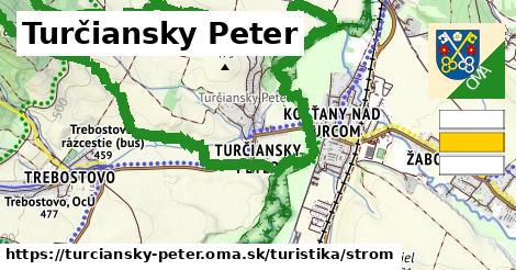 Turčiansky Peter Turistické trasy strom 