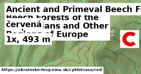 Ancient and Primeval Beech Forests of the Carpathians and Other Regions of Europe Cyklotrasy červená 