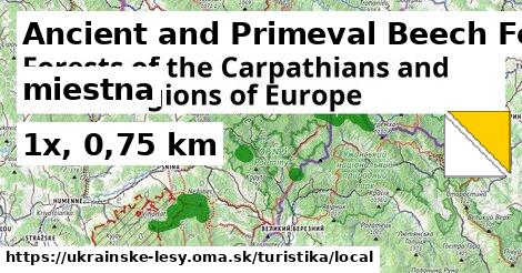 Ancient and Primeval Beech Forests of the Carpathians and Other Regions of Europe Turistické trasy miestna 