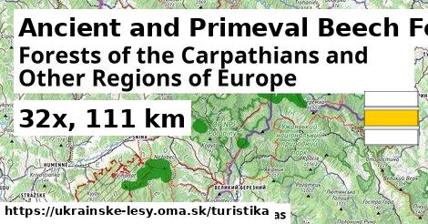 Ancient and Primeval Beech Forests of the Carpathians and Other Regions of Europe Turistické trasy  