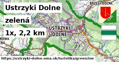 Ustrzyki Dolne Turistické trasy zelená iná
