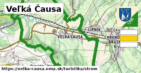 Veľká Čausa Turistické trasy strom 