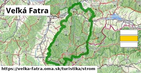 Veľká Fatra Turistické trasy strom 