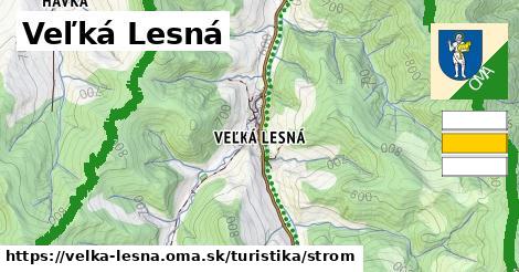 Veľká Lesná Turistické trasy strom 