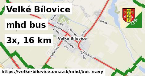 Velké Bílovice Doprava bus 