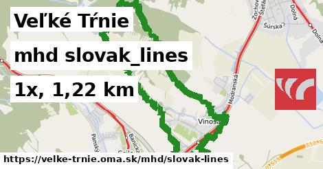 Veľké Tŕnie Doprava slovak-lines 