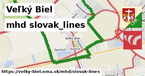 Veľký Biel Doprava slovak-lines 