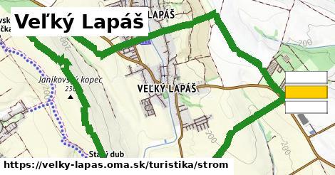 Veľký Lapáš Turistické trasy strom 