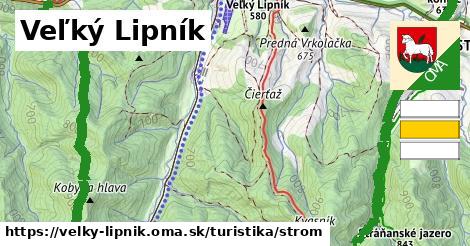 Veľký Lipník Turistické trasy strom 