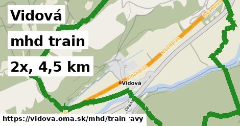 Vidová Doprava train 