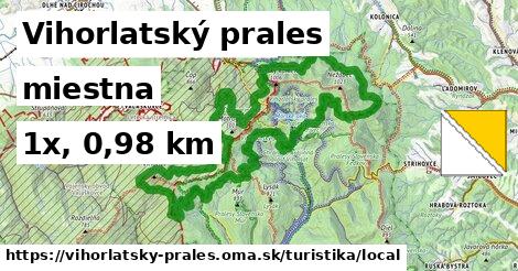 Vihorlatský prales Turistické trasy miestna 