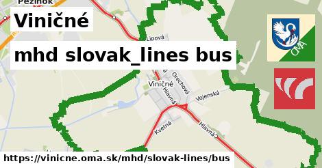 Viničné Doprava slovak-lines bus