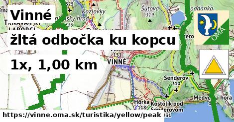 Vinné Turistické trasy žltá odbočka ku kopcu