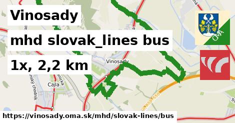 Vinosady Doprava slovak-lines bus