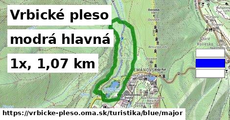 Vrbické pleso Turistické trasy modrá hlavná