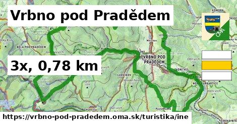 Vrbno pod Pradědem Turistické trasy iná 