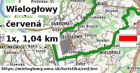 Wielogłowy Turistické trasy červená iná