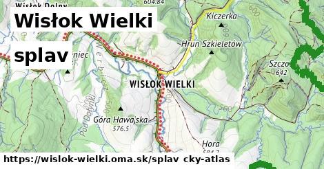 Wisłok Wielki Splav  