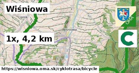 Wiśniowa Cyklotrasy bicycle 