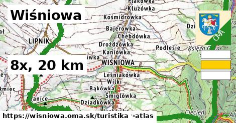 Wiśniowa Turistické trasy  