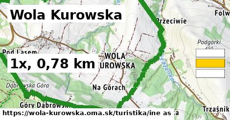 Wola Kurowska Turistické trasy iná 