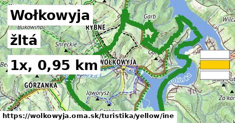 Wołkowyja Turistické trasy žltá iná