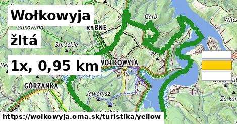 Wołkowyja Turistické trasy žltá 