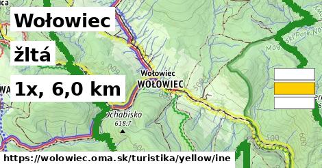 Wołowiec Turistické trasy žltá iná