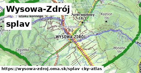 Wysowa-Zdrój Splav  