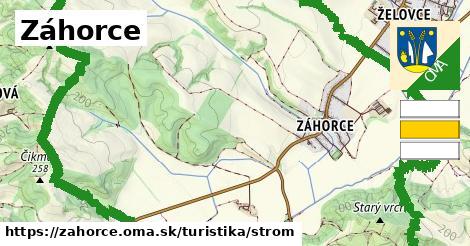 Záhorce Turistické trasy strom 