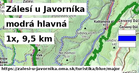 Zálesí u Javorníka Turistické trasy modrá hlavná
