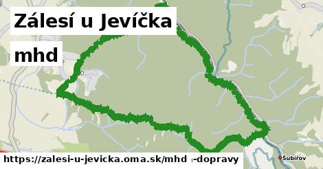 Zálesí u Jevíčka Doprava  