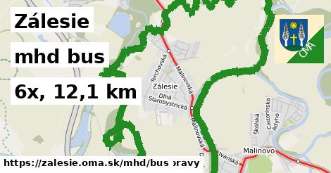 Zálesie Doprava bus 