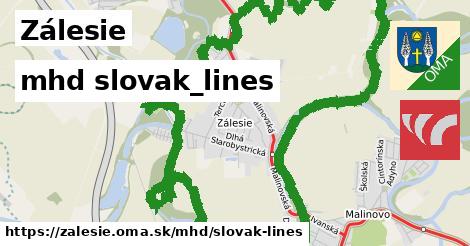 Zálesie Doprava slovak-lines 