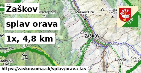 Žaškov Splav orava 