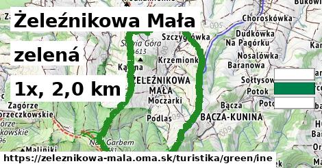Żeleźnikowa Mała Turistické trasy zelená iná