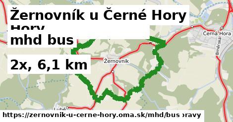 Žernovník u Černé Hory Doprava bus 