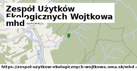 Zespół Użytków Ekologicznych Wojtkowa Doprava  