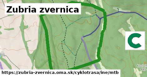 Zubria zvernica Cyklotrasy iná mtb