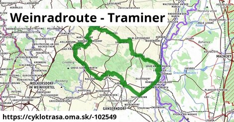 Weinradroute - Traminer