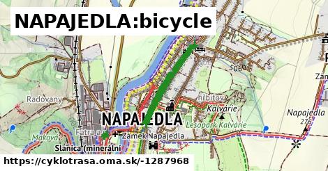 NAPAJEDLA:bicycle