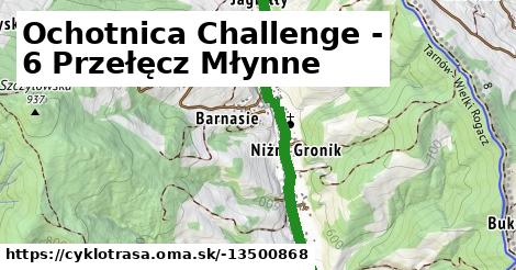 Ochotnica Challenge - 6 Przełęcz Młynne