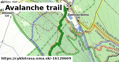 Avalanche trail