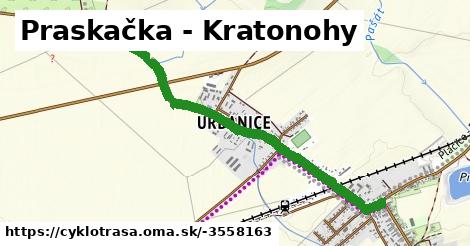Praskačka - Kratonohy