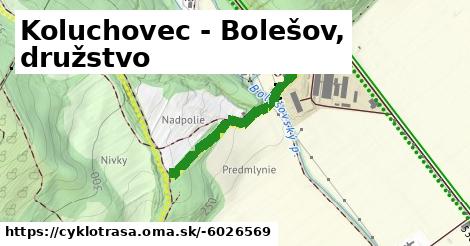 Koluchovec - Bolešov, družstvo