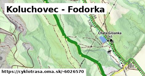 Koluchovec - Fodorka