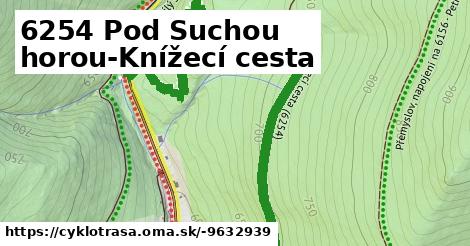 6254 Pod Suchou horou-Knížecí cesta